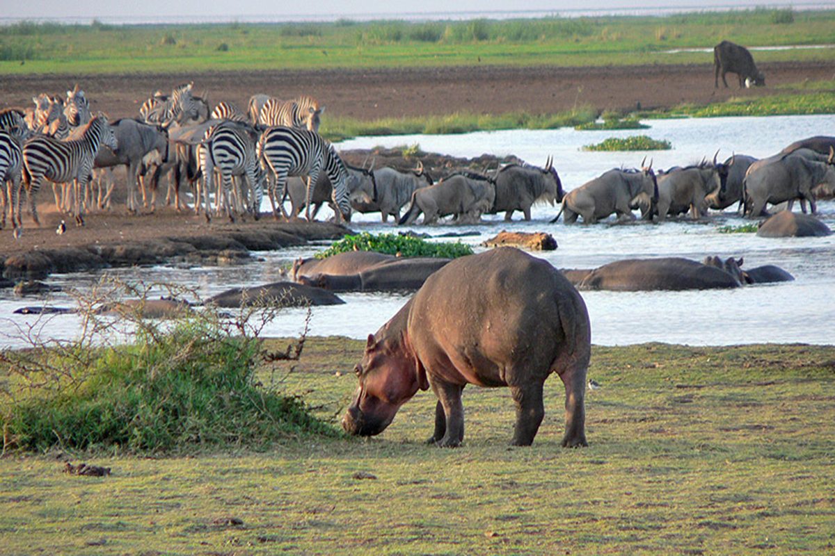 lake-manyara-3